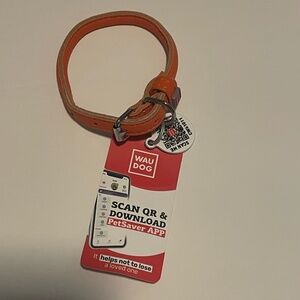 WAUDOG Ultra Soft Rolled Leather Dog Collar - Soft Padded Size XS NWT